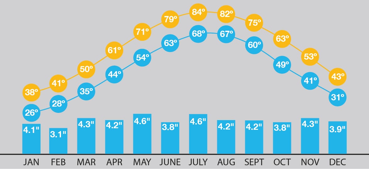 Forecasting Your New York Vacation